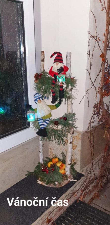 Apartman U Jakuba Dvůr Králové nad Labem 외부 사진