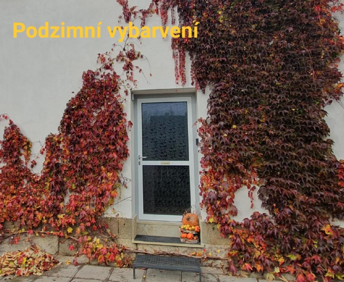 Apartman U Jakuba Dvůr Králové nad Labem 외부 사진