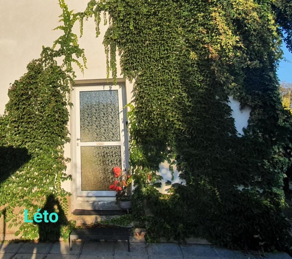Apartman U Jakuba Dvůr Králové nad Labem 외부 사진